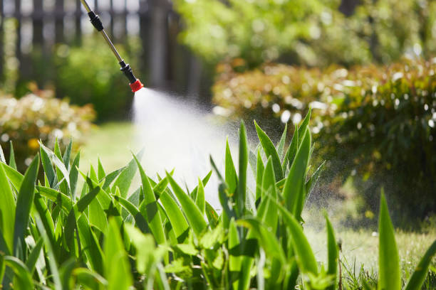 24/7 Emergency Mosquito Control experts in Branson, MO